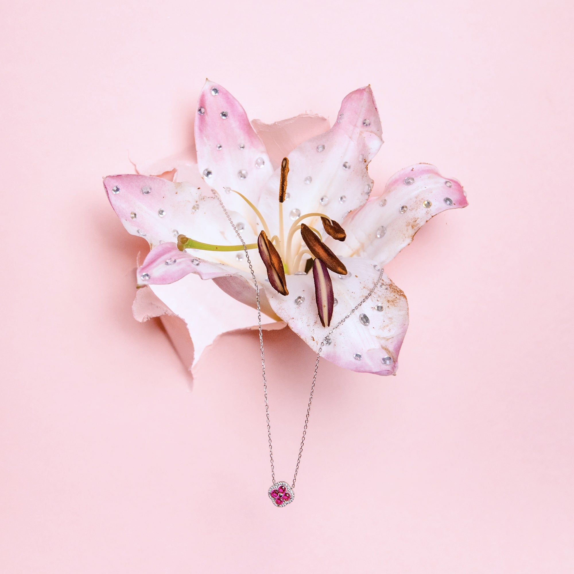 Daisy Pink Halskette Weißgold Blume S925